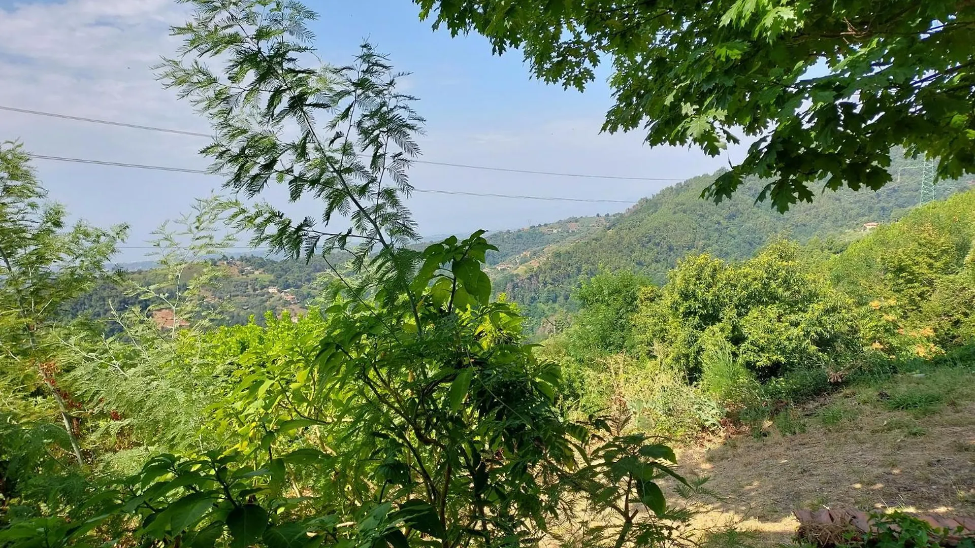 Holiday home Casa Peppina Villa Strettoia